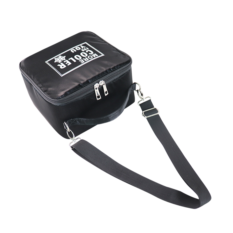 Custom OEM Reusable Lunch Cooler Bag for Wholesale product view 4