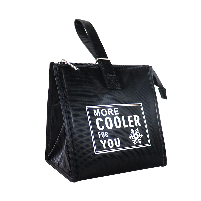 Custom OEM Reusable Lunch Cooler Bag for Wholesale product view 2