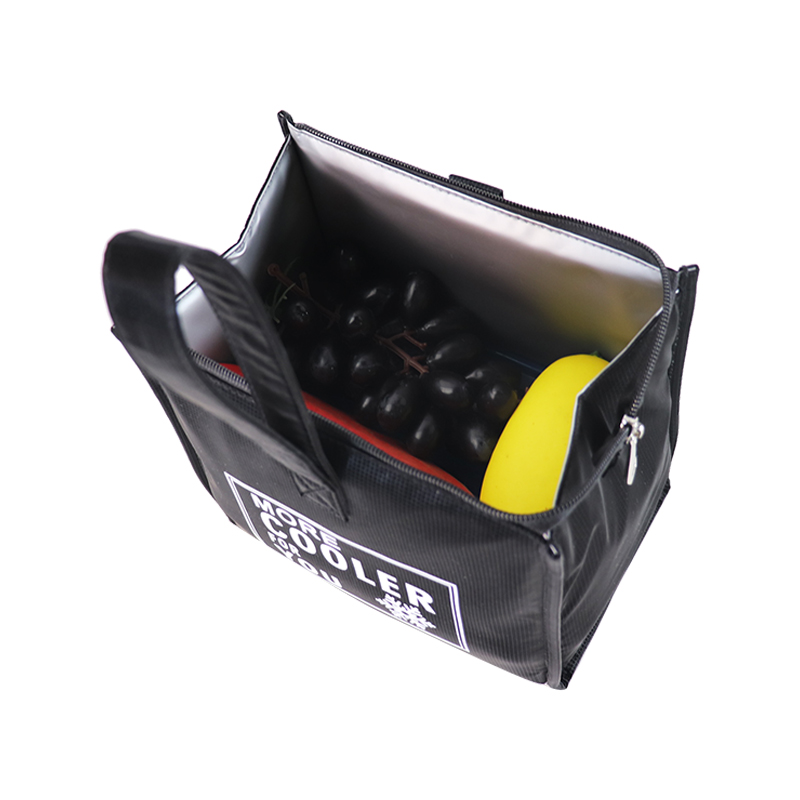 Custom OEM Reusable Lunch Cooler Bag for Wholesale product view 5
