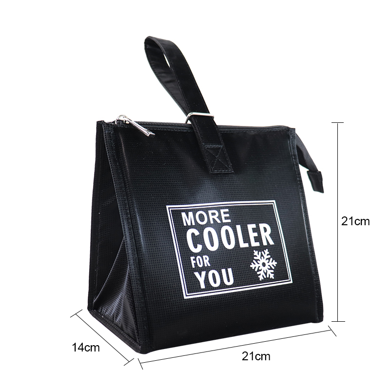 Custom OEM Reusable Lunch Cooler Bag for Wholesale product view 6
