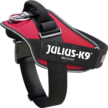 Julius-K9 IDC Powerharness dog harness with top handle